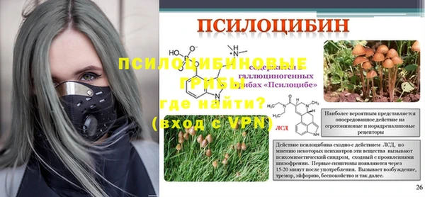 стаф Алексин