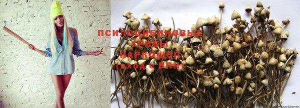 таблы Алзамай