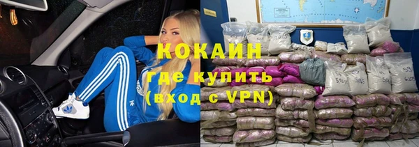 стаф Алексин