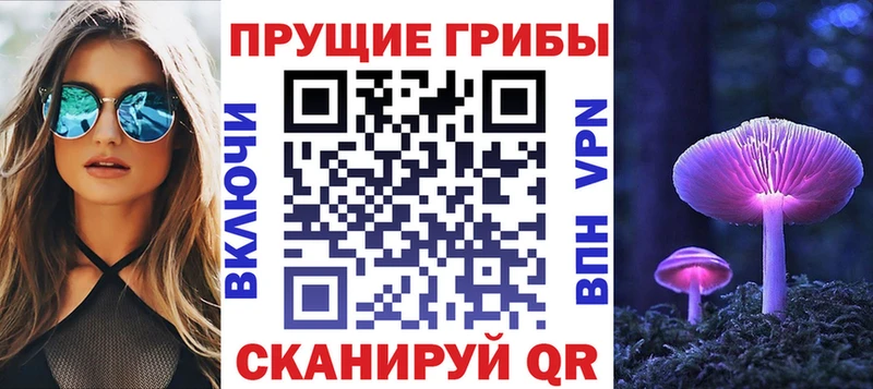 Псилоцибиновые грибы Cubensis  маркетплейс как зайти  Волоколамск 